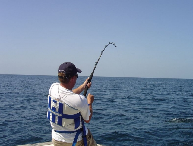  sport fishing 